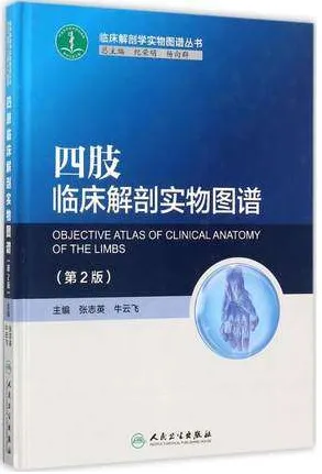 四肢临床解剖实物图谱 第2版
