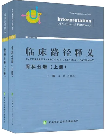临床路径释义 骨科分册（上下册）