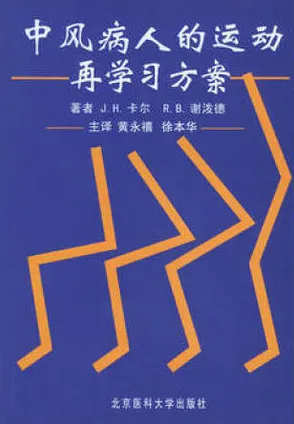 中风病人的运动再学习方案