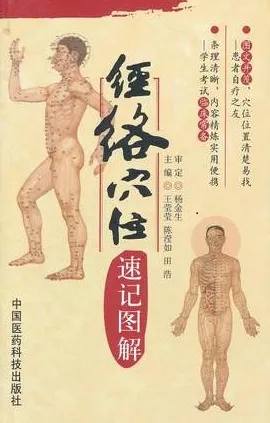 经络穴位速记图解