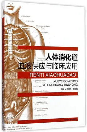 人体消化道血液供应与临床应用