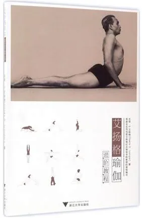 艾扬格瑜伽进阶教程