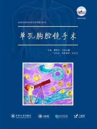 单孔胸腔镜手术