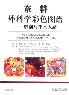 奈特外科学彩色图谱