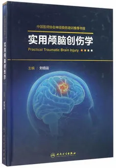 实用颅脑创伤学