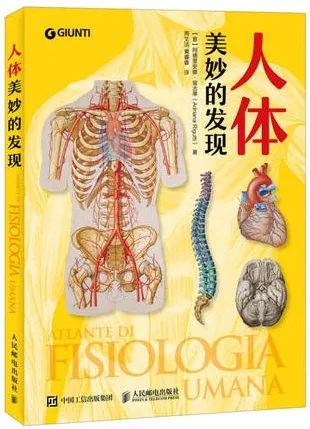 人体 美妙的发现