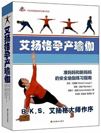 艾杨格孕产瑜伽 准妈妈和新妈妈的安全瑜伽练习指南