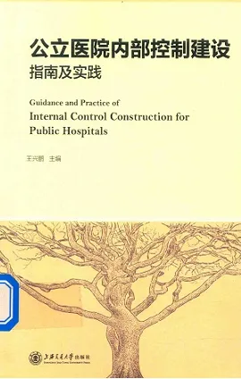 公立医院内部控制建设指南及实践