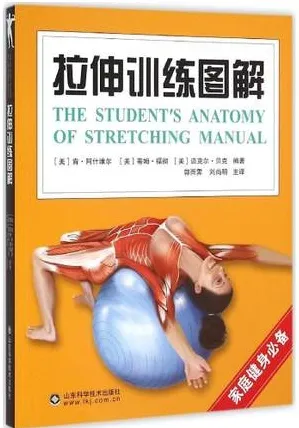 拉伸训练图解