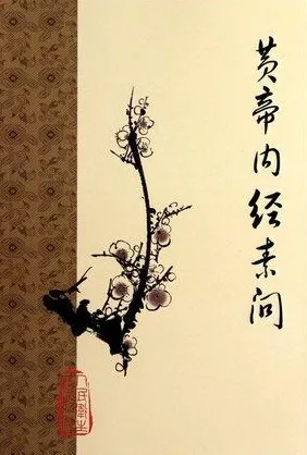 黄帝内经素问 梅花版古籍丛书