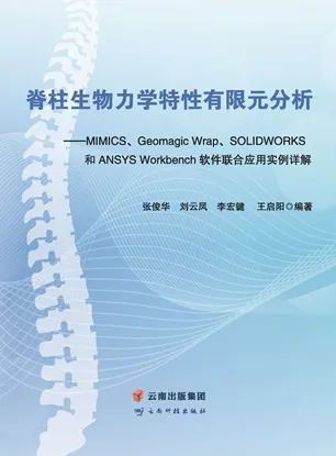 脊柱生物力学特性有限元分析
