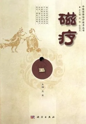 磁疗 中医优势治疗技术丛书