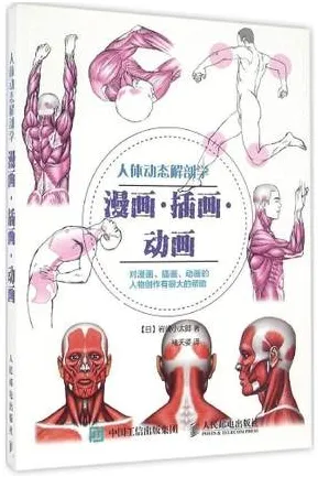 人体动态解剖学 漫画·插画·动画