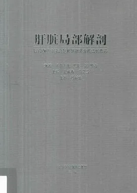 肝脏局部解剖 以门静脉分段为基础肝脏新分段法的思路