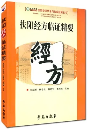 扶阳经方临证精要