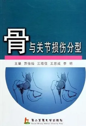 骨与关节损伤分型