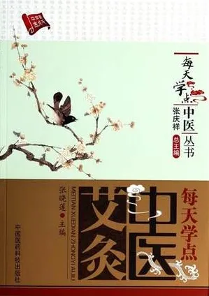 每天学点中医艾灸