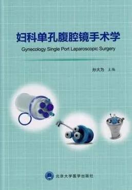 妇科单孔腹腔镜手术学