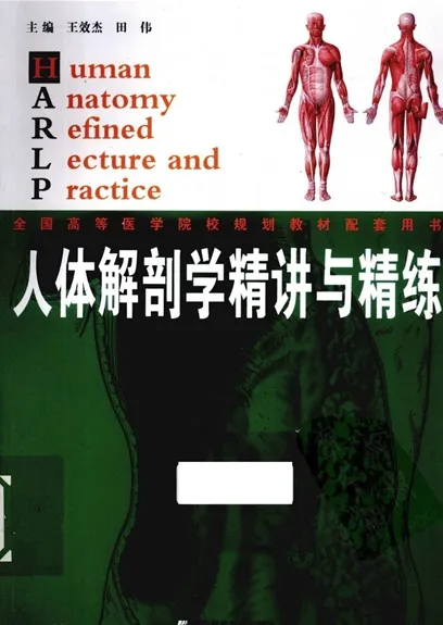 人体解剖学精讲与精练