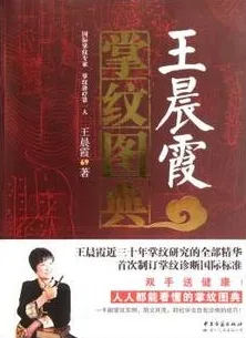 王晨霞掌纹图典