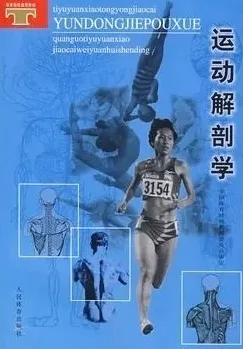 运动解剖学