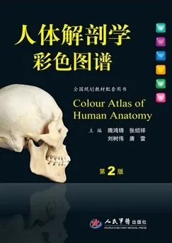 人体解剖学彩色图谱 第2版