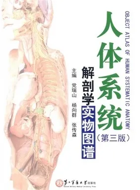 人体系统解剖学实物图谱 第3版
