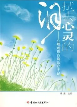拭去心灵的泪：心理创伤咨询治疗手记