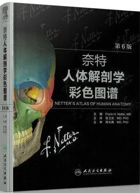 奈特人体解剖学彩色图谱 第6版