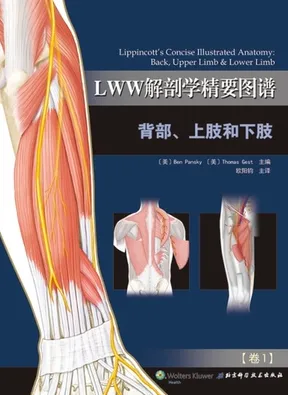 LWW解剖学精要图谱 背部、上肢和下肢