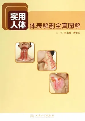 实用人体体表解剖全真图解