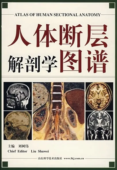 人体断层解剖学图谱
