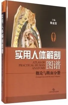 实用人体解剖图谱 概论与断面分册