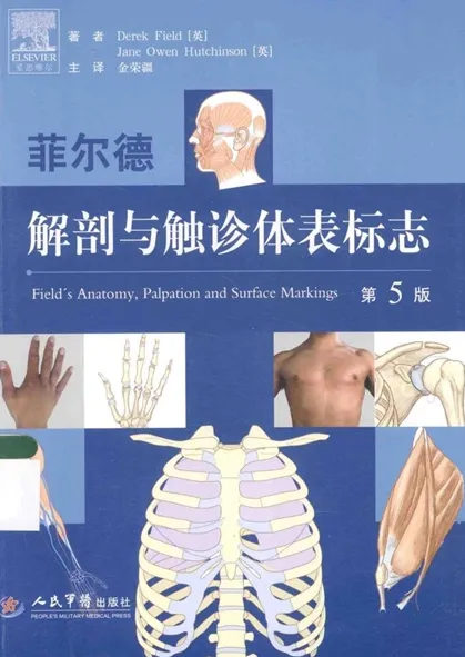 菲尔德解剖与触诊体表标志 第5版