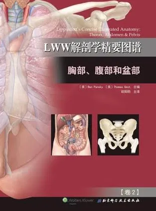 LWW解剖学精要图谱 卷2 胸部、腹部和盆部